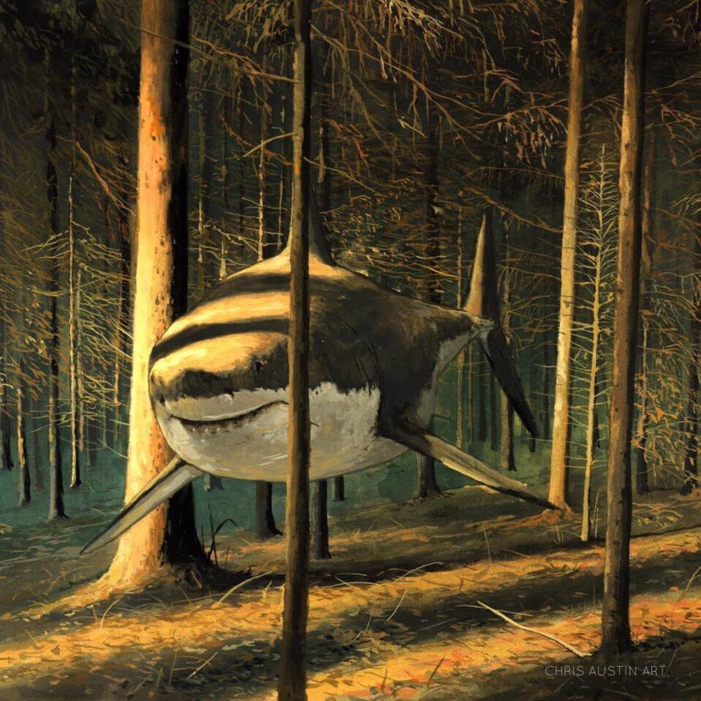 Meet your Posher, Alejandra